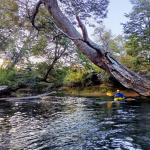 Diseño sin título (4)